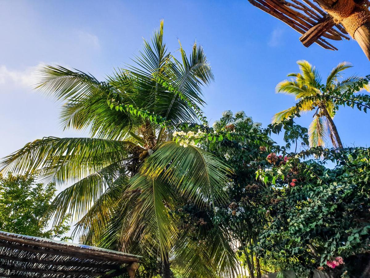 Deja Blue Hotel Paje Exterior photo